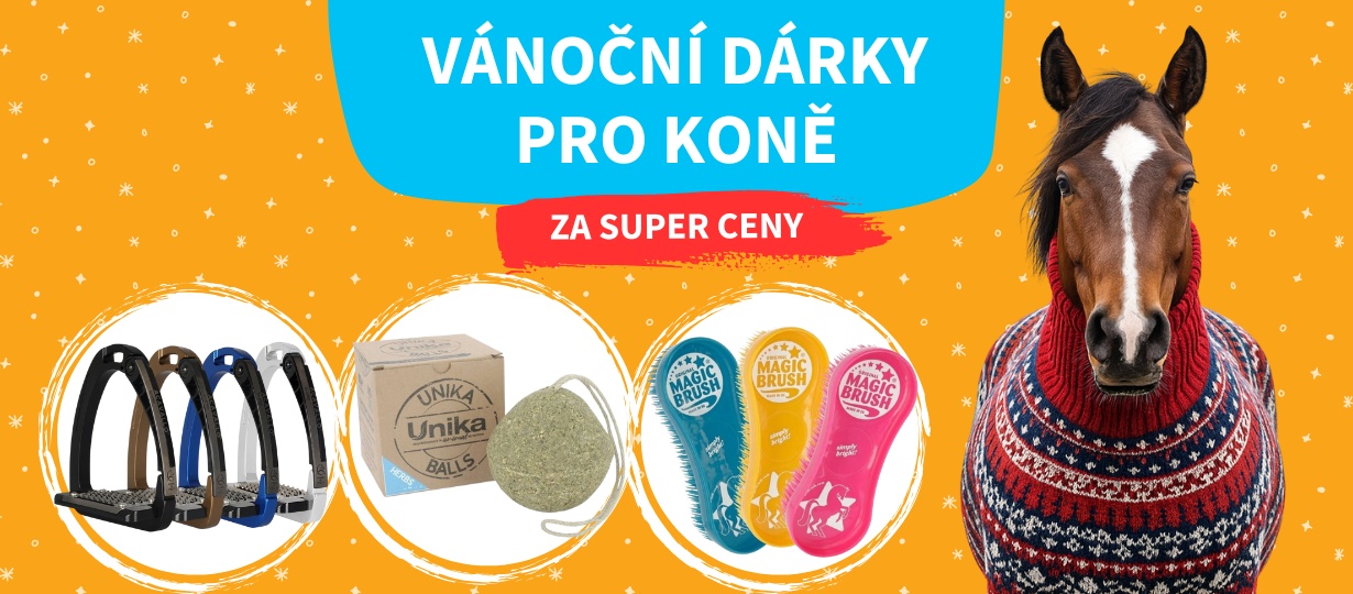 vanoce_kone